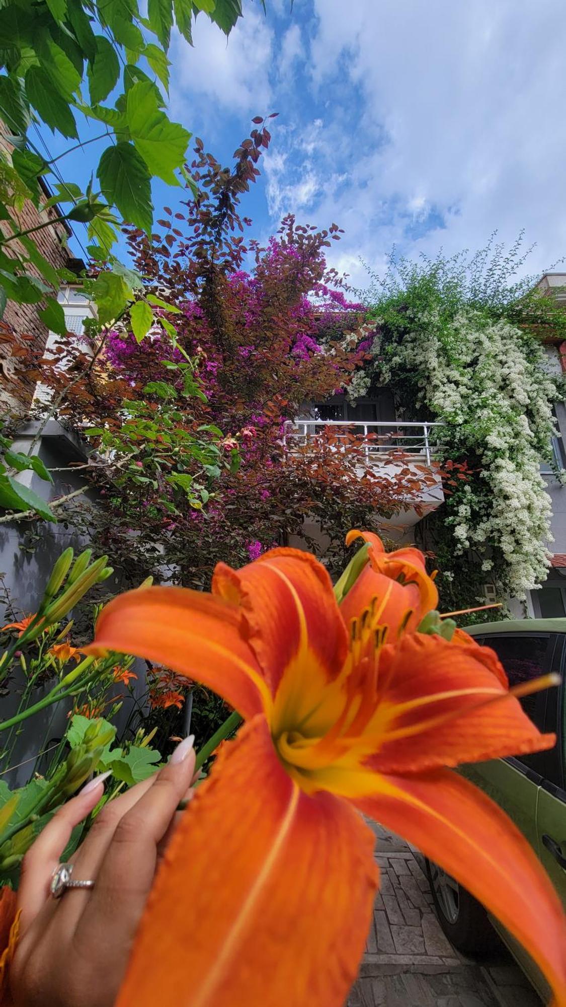 A Cheerful Villa With Free Parking Space Tirana Room photo